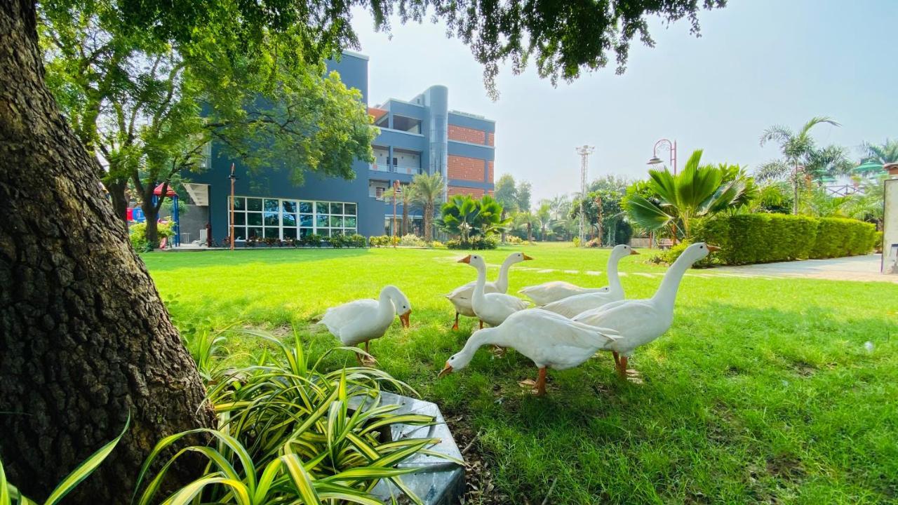 Krishna Riverside Resort Vasad Eksteriør bilde